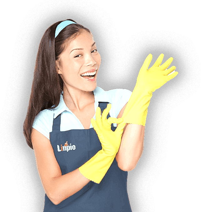 lider de servicios
